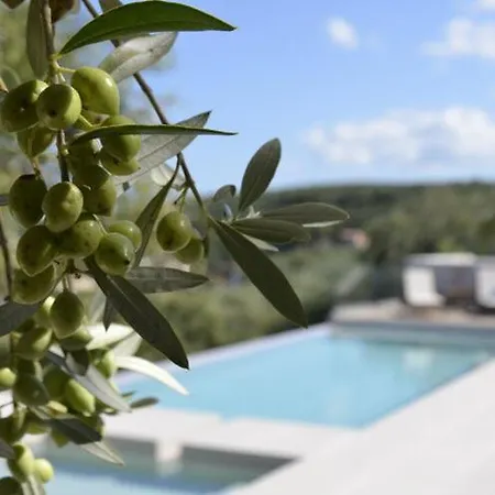 Apolafste Apartment Alykanas (Zakynthos)